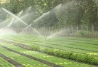 Spencers Brooklandscaping-irrigation-11.jpg; ?>